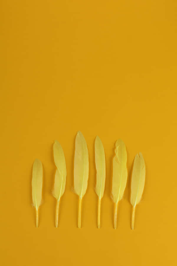 Enjoy The Cool Features Of The Awesome Ipad Wallpaper