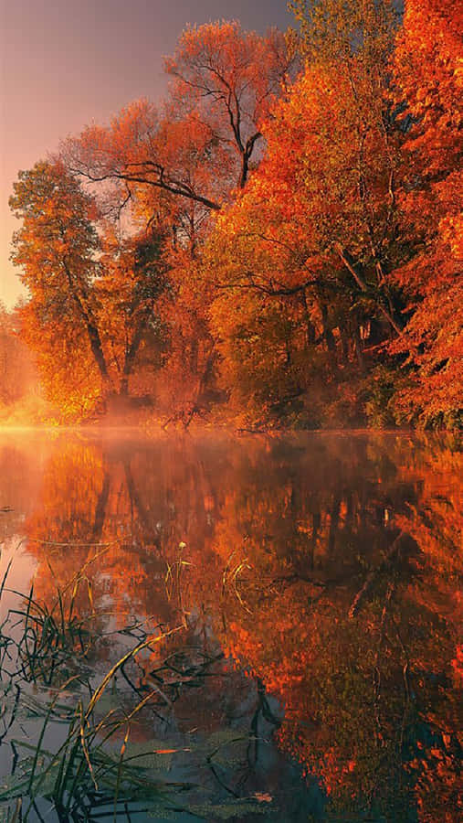 Enjoy The Crisp Days Of Cool Fall As You Explore Nature's Beauty. Wallpaper