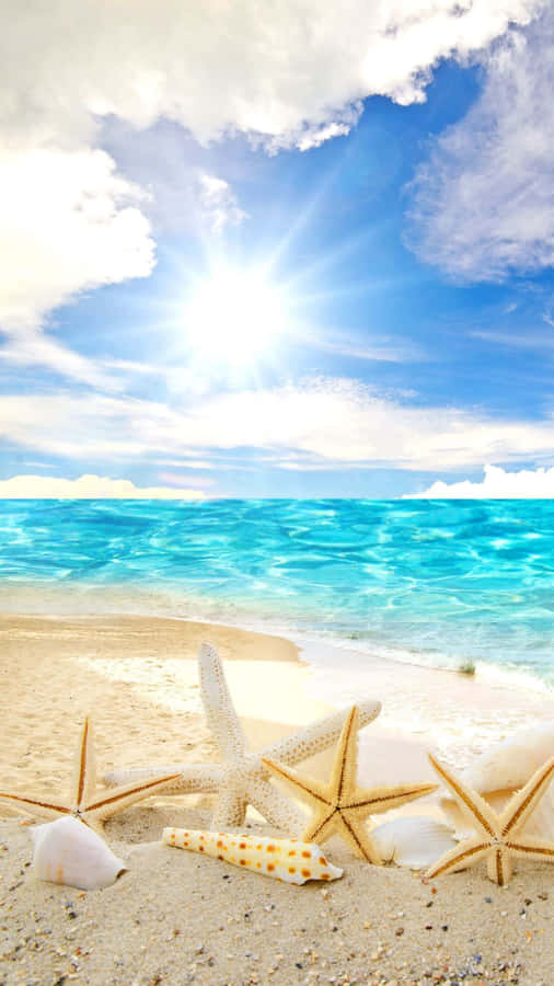 Enjoy The Stunning View Of Pretty Beach Wallpaper