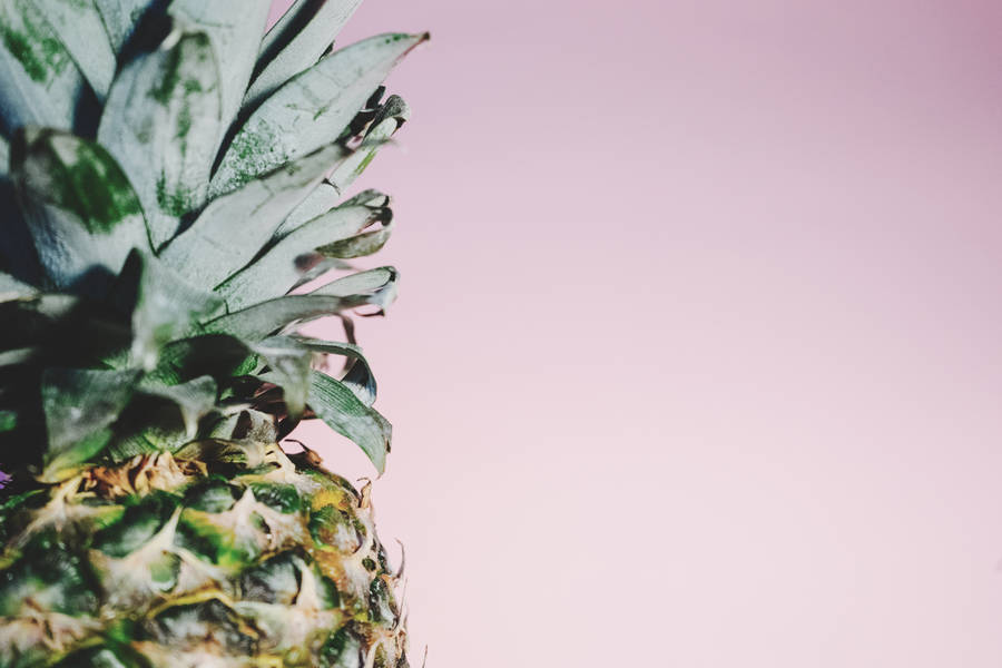 Enjoy The Sweet Taste Of Summer With This Minimalist Pineapple Crown Wallpaper