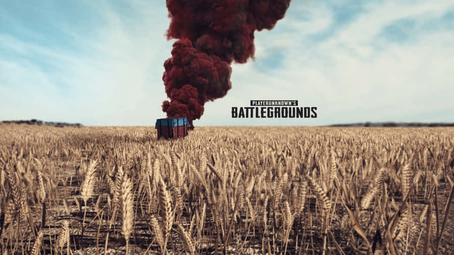 Enjoy The Thrill Of Player Unknown Battlegrounds In This Explosive Survival Shooting Game. Wallpaper
