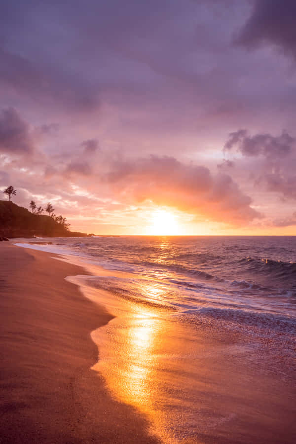 Enjoy The Turquoise Waters Of Pretty Beach Wallpaper