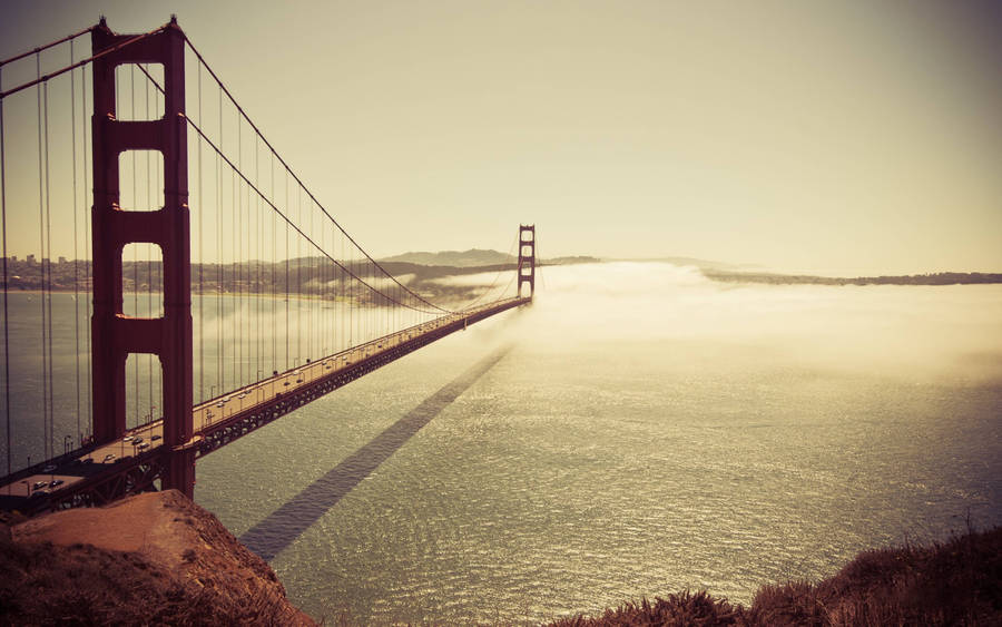 Enjoy Views Of The Bustling City Of San Francisco Wallpaper