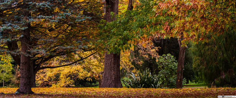 Enjoying A Fall Day In The Country Wallpaper