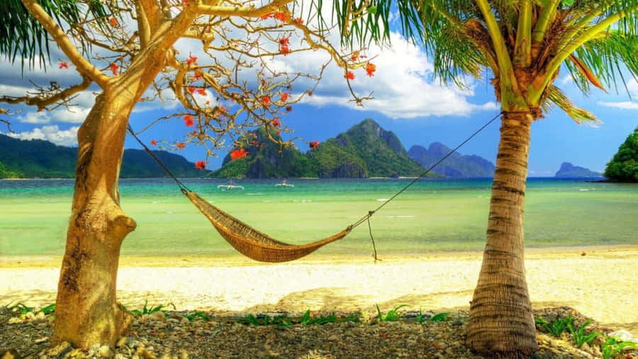 Enjoying A Peaceful Morning At The Beach Wallpaper