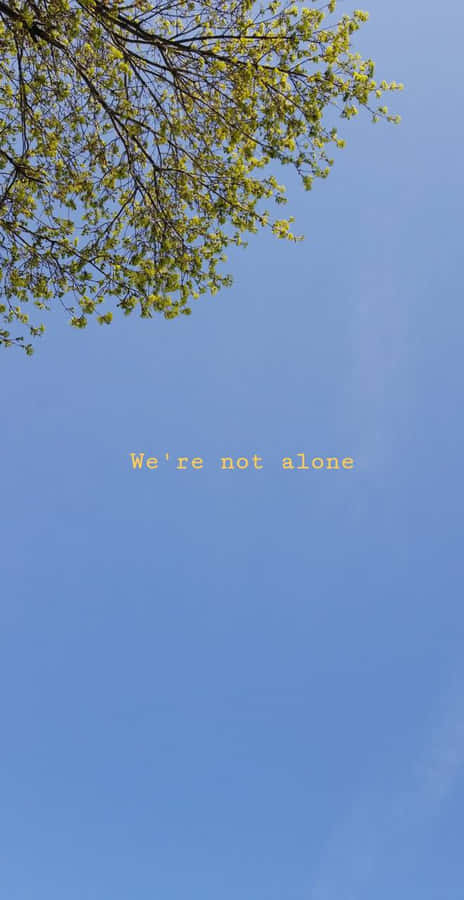 Enjoying A Relaxing Afternoon On The Beach With A Breathtaking Blue Sky Wallpaper