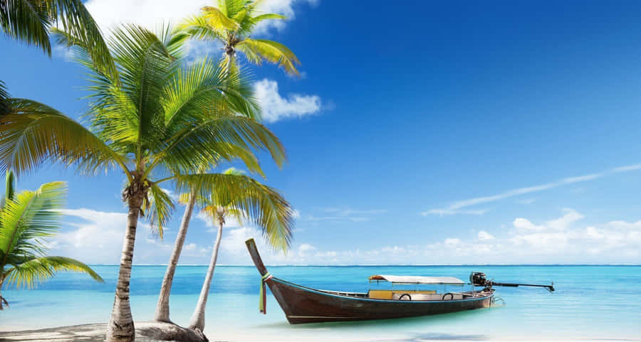 Enjoying A Relaxing Day At The Beach Wallpaper