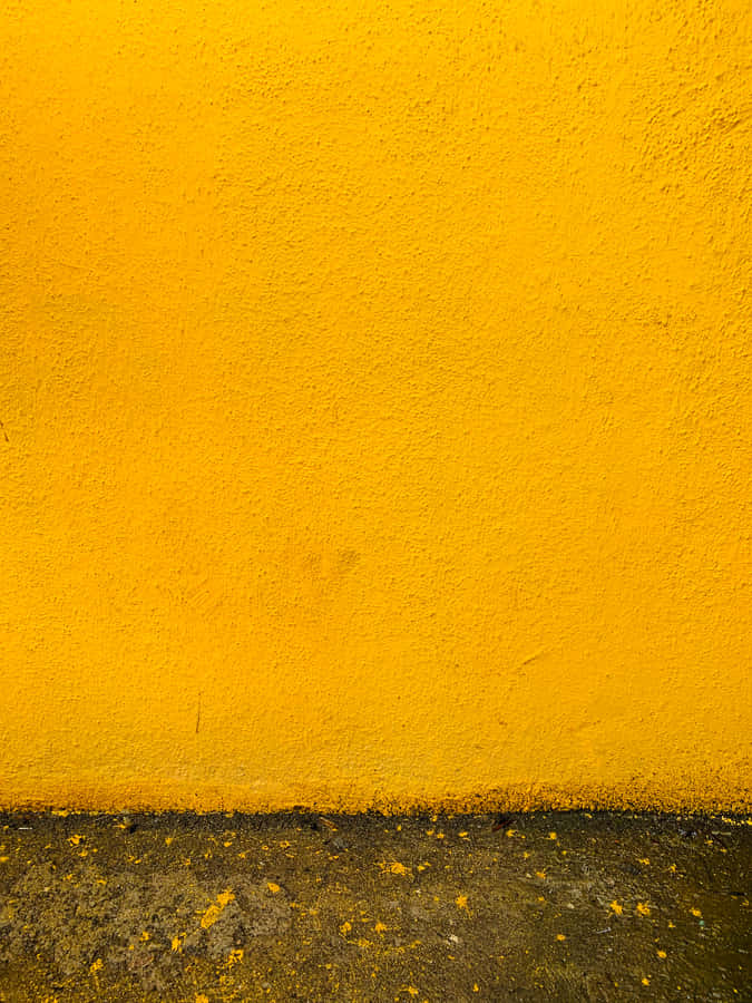 Enjoying The Beauty Of A Bright Yellow Flower Wallpaper