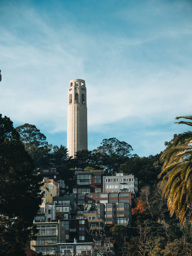 Enjoying The Sights Of San Francisco: Coit Tower With A Glorious Summer Backdrop Wallpaper