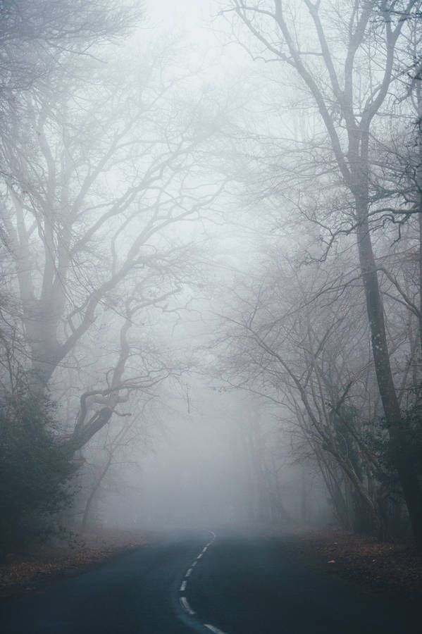 Enter A World Of Spooky Surprises With The Scary Iphone Wallpaper