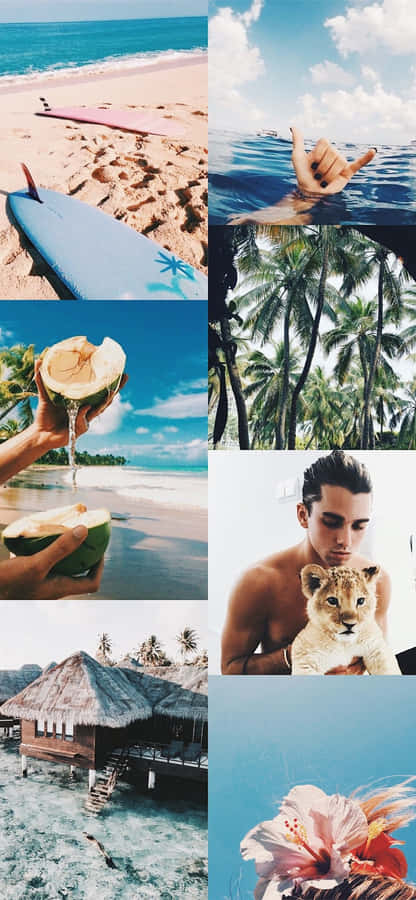 Enter Paradise...explore Aesthetic Hawaii Wallpaper
