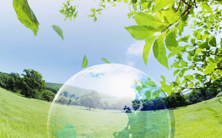 Environment Earth Bubble On Field Wallpaper