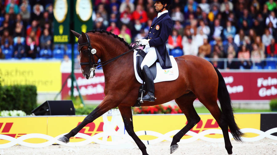 Equestrian Goncalo Carvalho Horseback Riding Tokyo 2020 Wallpaper