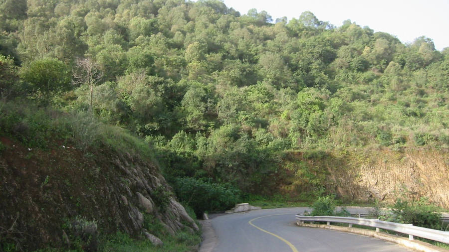 Eritrea Road In Mountain Wallpaper