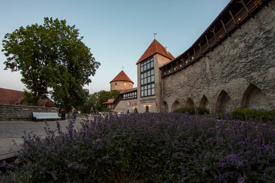 Estonia Maiden Tower Wallpaper