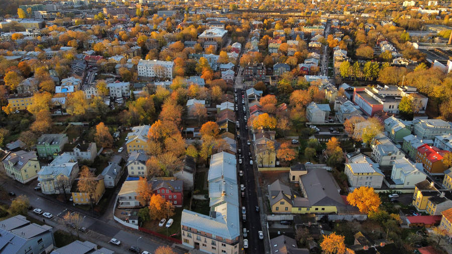 Estonia Tallinn City Aerial View Wallpaper