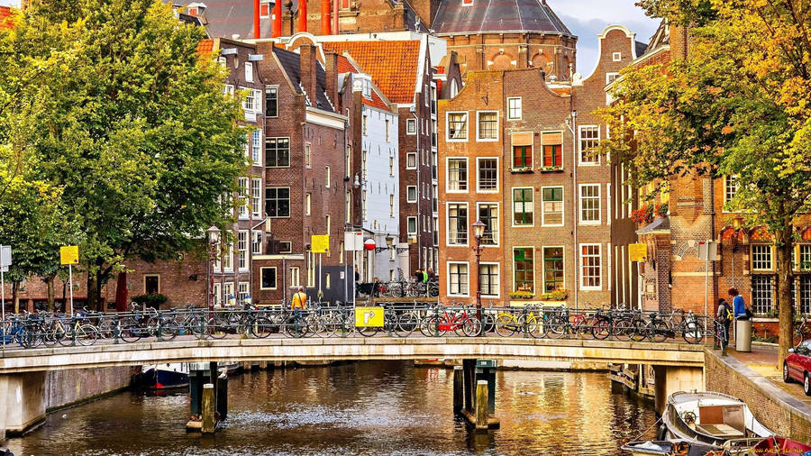 Europe Red Light District Amsterdam Wallpaper