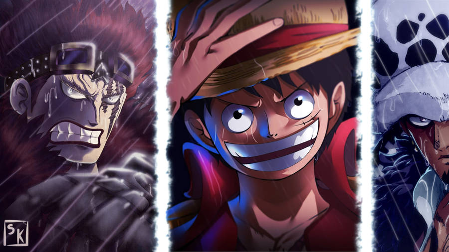 Eustass Kid Luffy Law Photo Collage Wallpaper