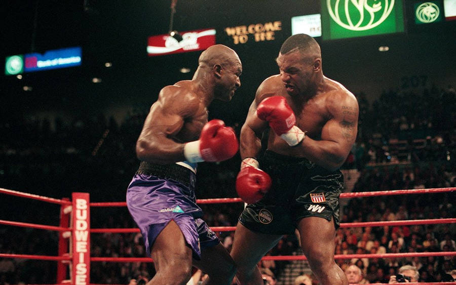 Evander Holyfield Vs Mike Tyson Wallpaper