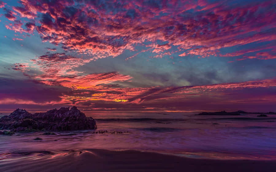Experience The California Aesthetic Wallpaper