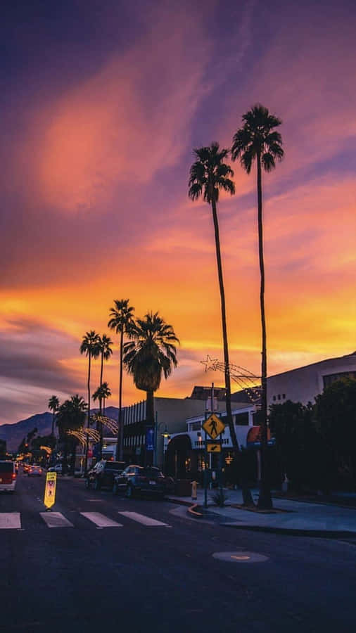 Experience The Perfect California Summer Wallpaper