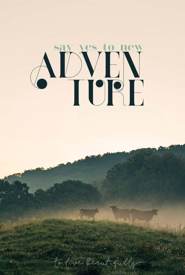 Experience The World Through Your Iphone. Wallpaper