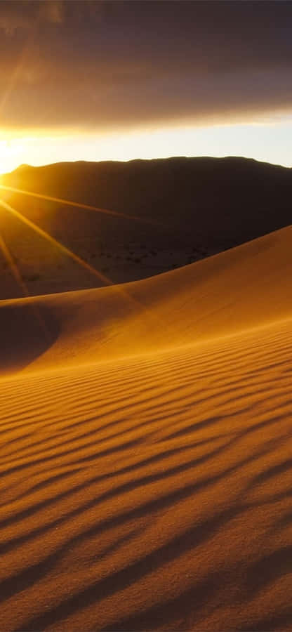 Experience Vibrant Nature In California Wallpaper