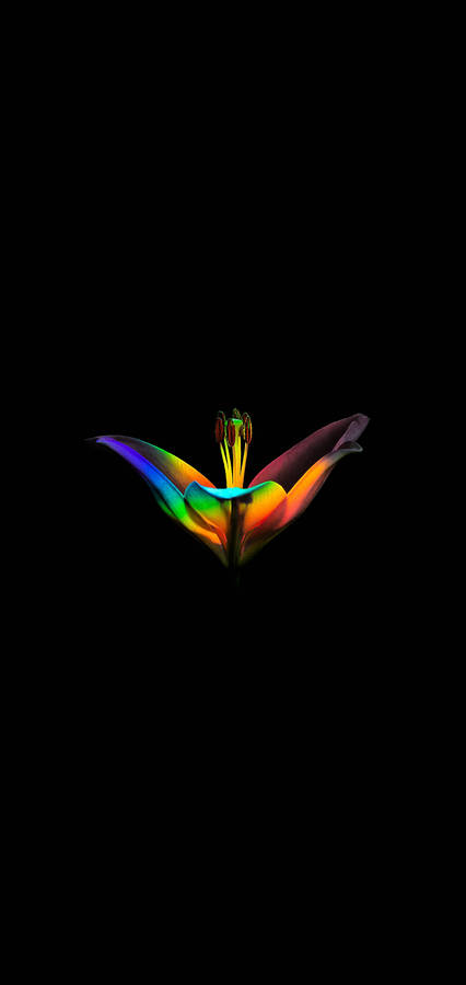 Experience Vivid, Colorful Visuals On An Amoled Display. Wallpaper