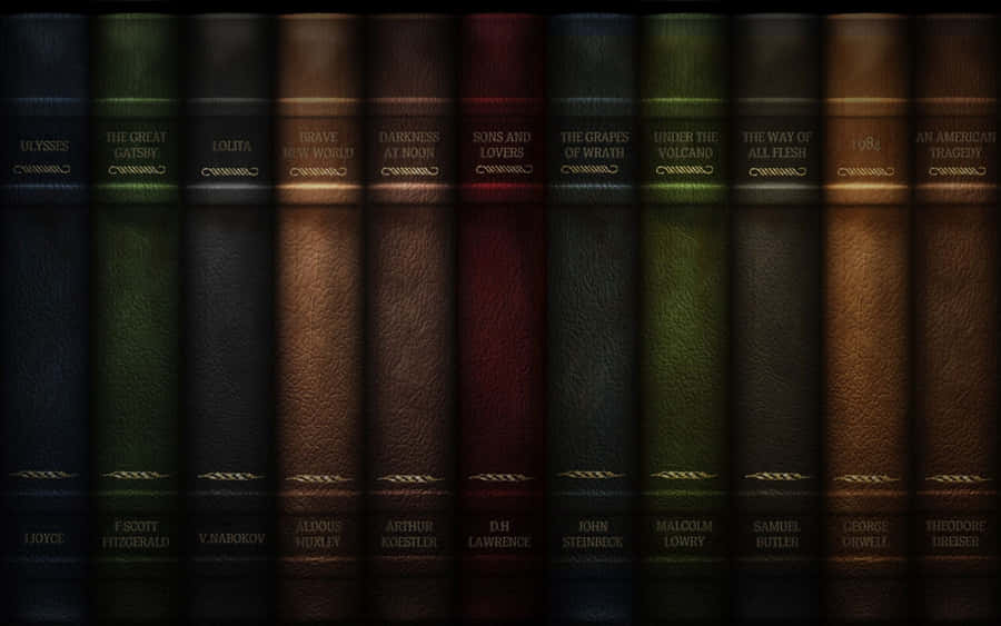 Explore The Possibilities Of A