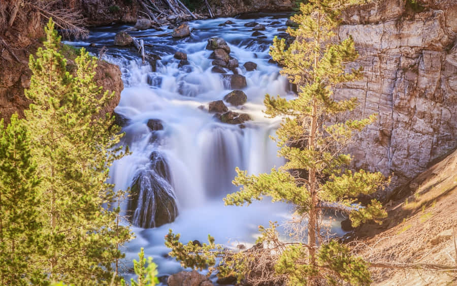 Explore The Wonderland Of Yellowstone National Park Wallpaper