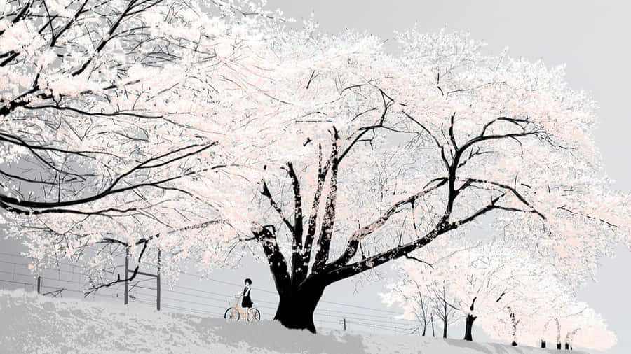 Explore The World Of Anime White Wallpaper