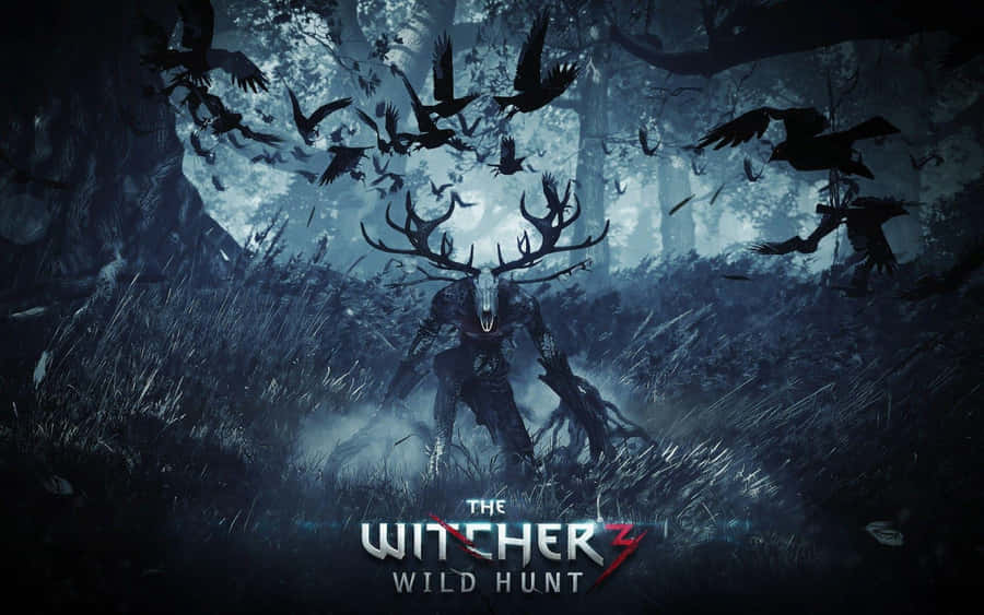 Explore The World Of The Witcher 3: Wild Hunt Wallpaper