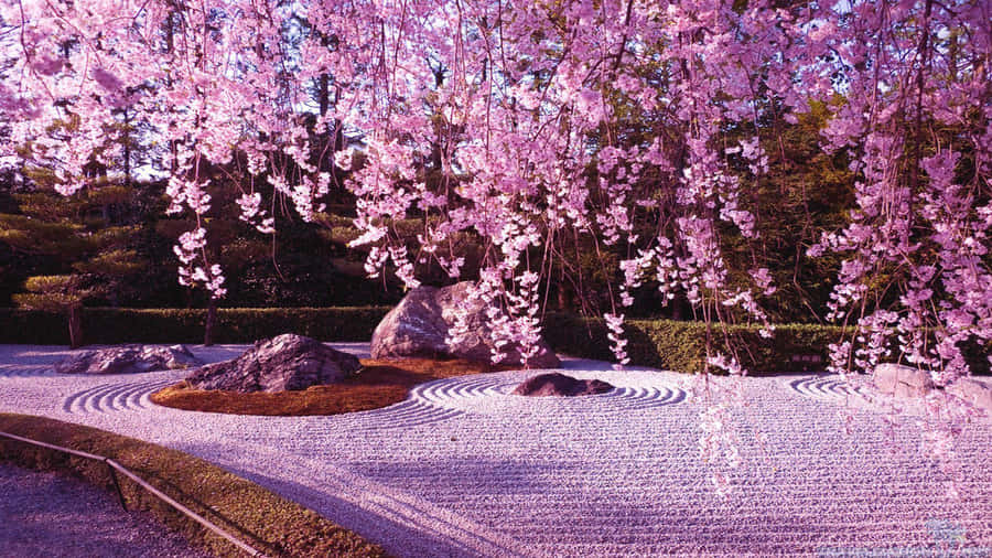 Exploring Pink Japan Wallpaper
