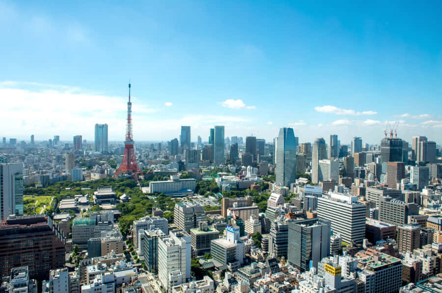 Exploring Tokyo's Harajuku District Wallpaper