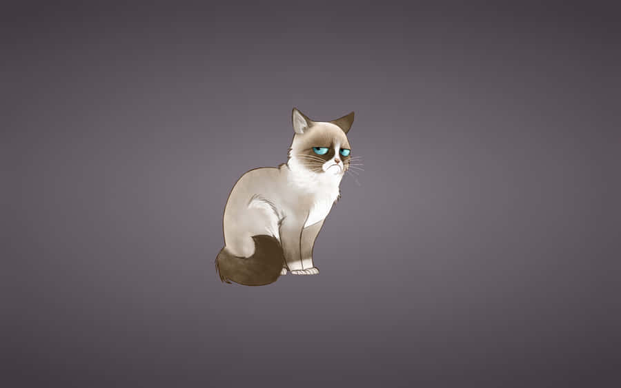 Expressive Sad Cat Gray Background.jpg Wallpaper