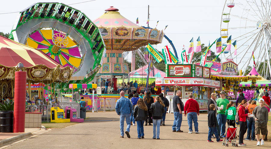 Fair With Different Rides Wallpaper