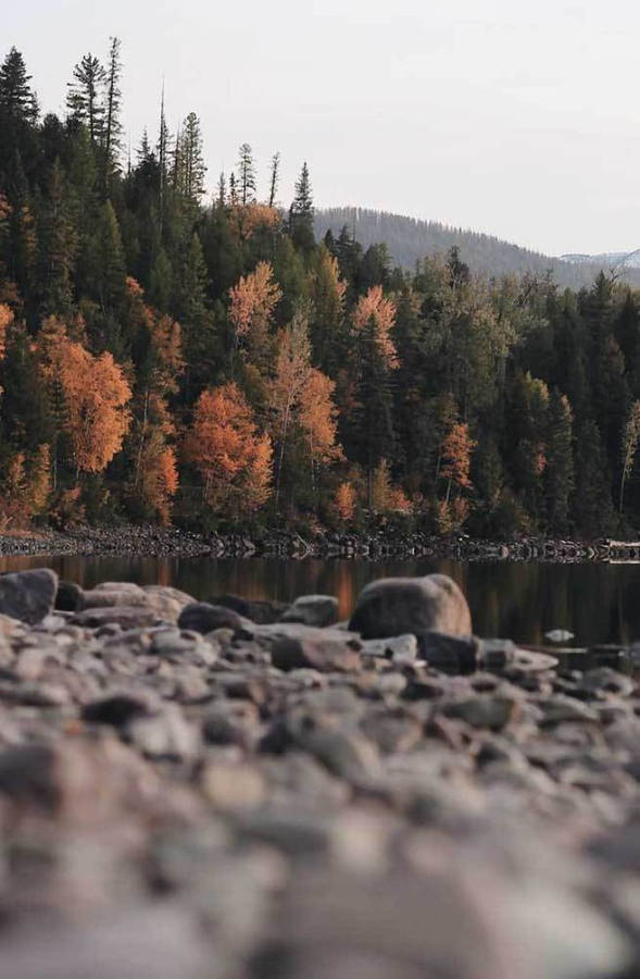 Fall Aesthetic Iphone Rocky Pond Trees Wallpaper