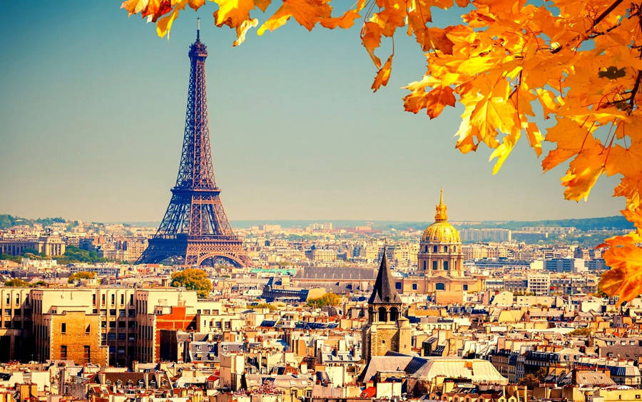 Fall In Love With The City Of Lights. Wallpaper