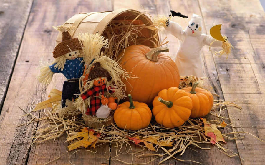 “fall Is A Great Time For Pumpkins!” Wallpaper
