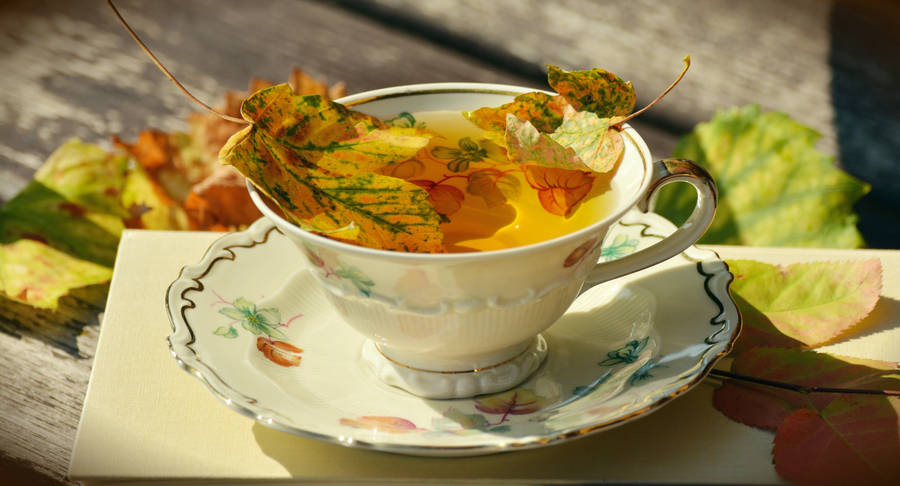 Fall Leaves Tea Wallpaper