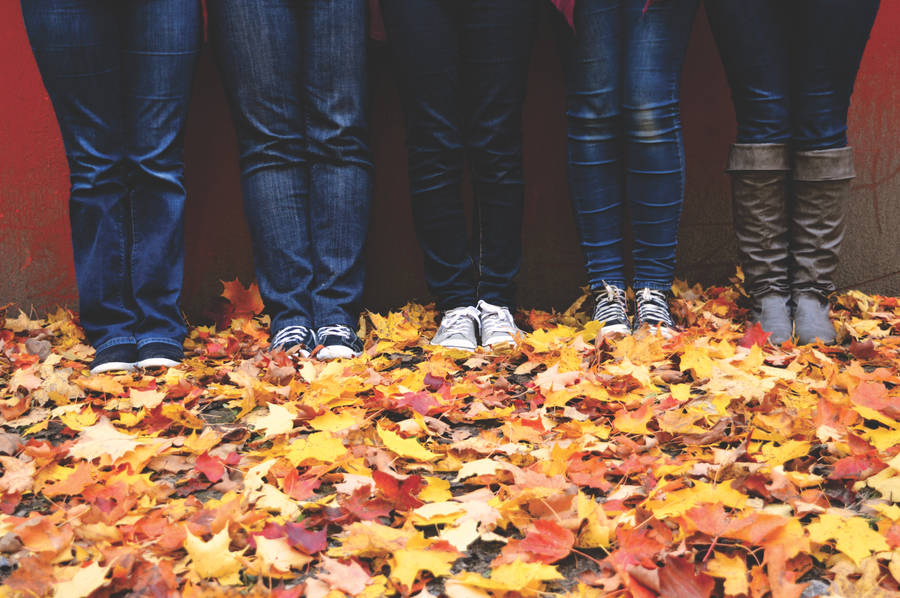 Fallen Leaves On Ground Best Autumn Wallpaper