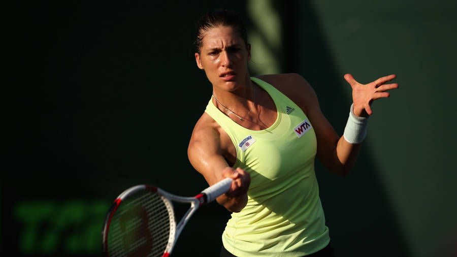 Family Circle Cup Andrea Petkovic Wallpaper