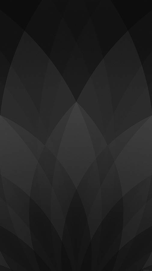 Fanned Leaf Solid Black Iphone Wallpaper