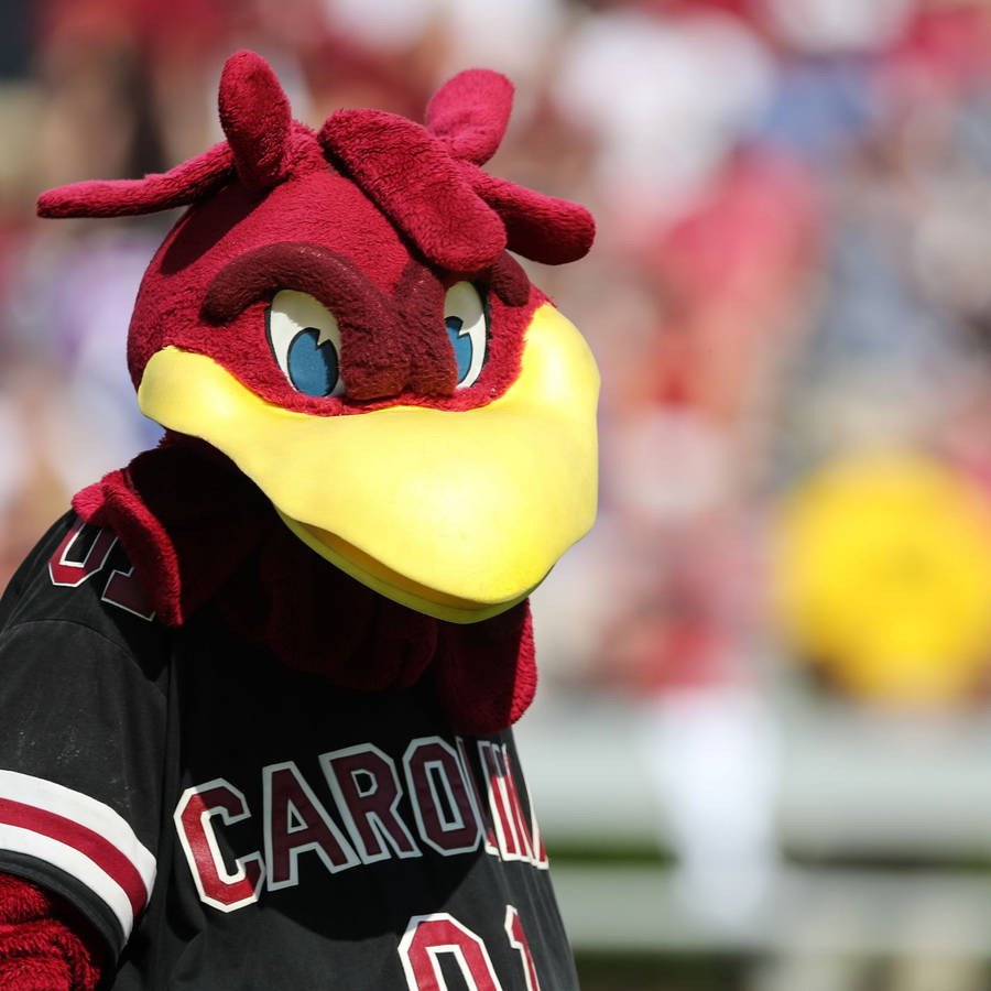 Fans Of South Carolina Gamecocks Cheer For Their Team In An Adrenaline-filled Game Wallpaper