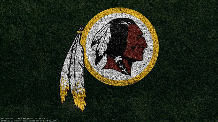 Fans Supporting All 32 Nfl Teams Wallpaper