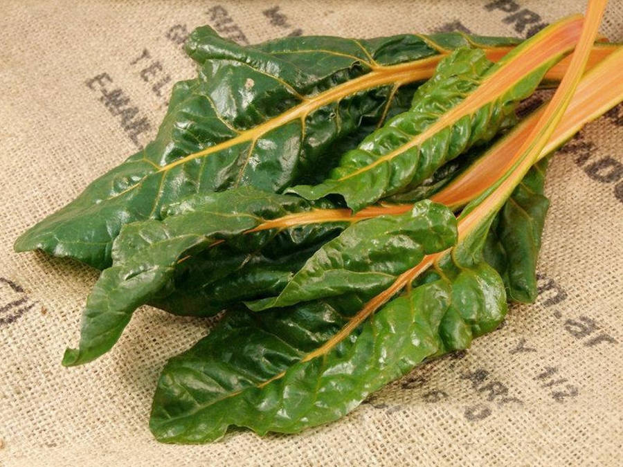 Fantasia Orange Swiss Chard Vegetable On Canvas Wallpaper