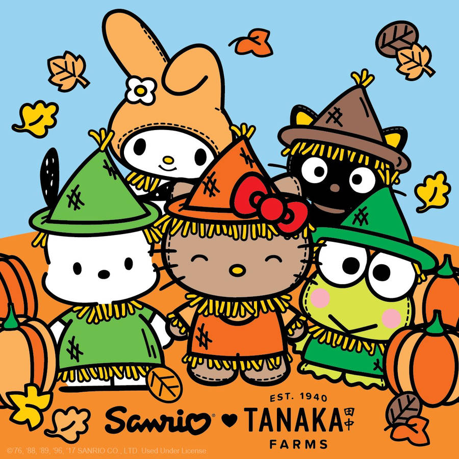 Farmer Sanrio Characters Wallpaper