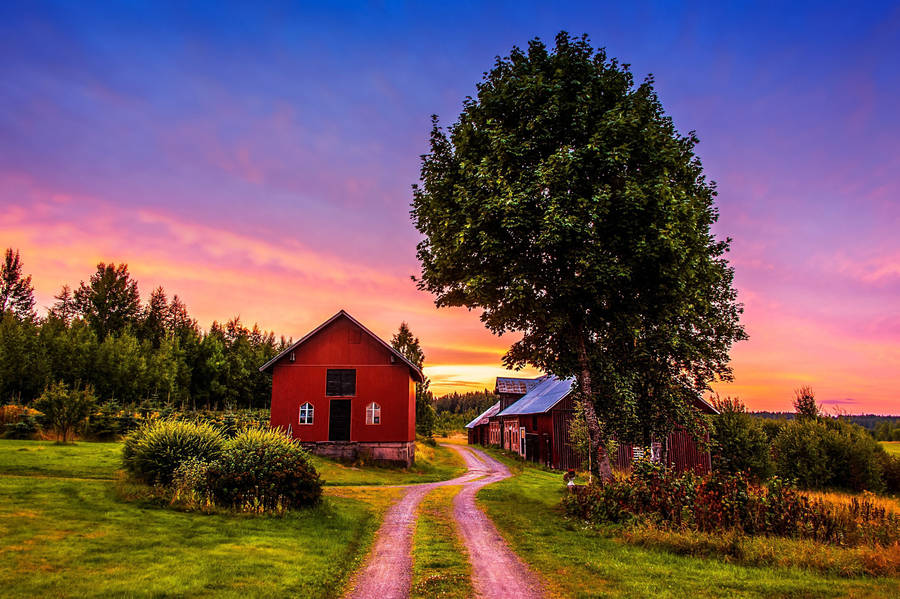 Farmhouse Beside A Tall Tree Wallpaper