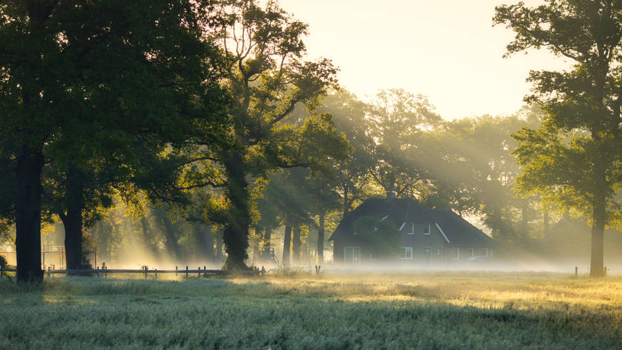 Farmhouse In A Foggy Forest Wallpaper