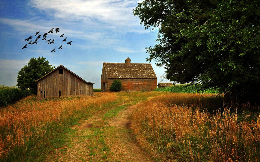 Farmhouse With A Small Barn Wallpaper